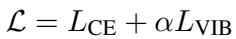 Total Loss Function