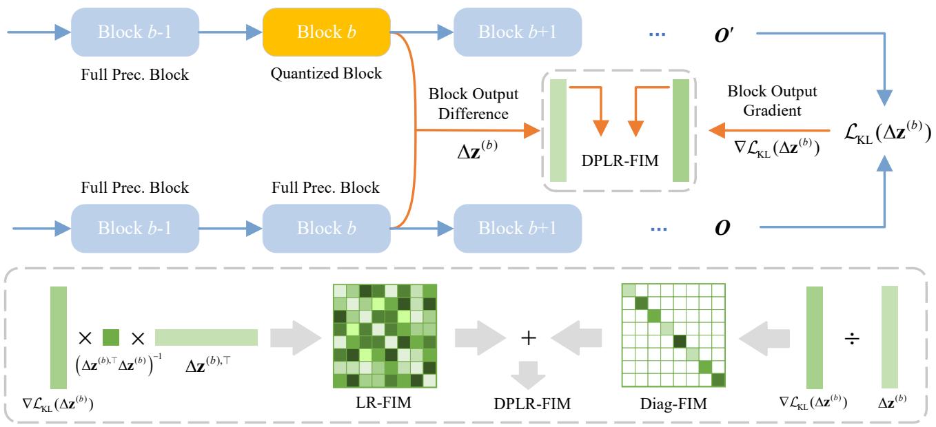 Framework overview of FIMA-Q showing the pipeline from input to DPLR-FIM loss.