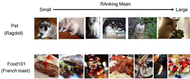 Visualisation of samples with RAM metric.