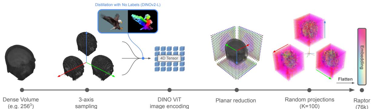 Flowchart visualizing the computation of Raptor embeddings from a medical volume.