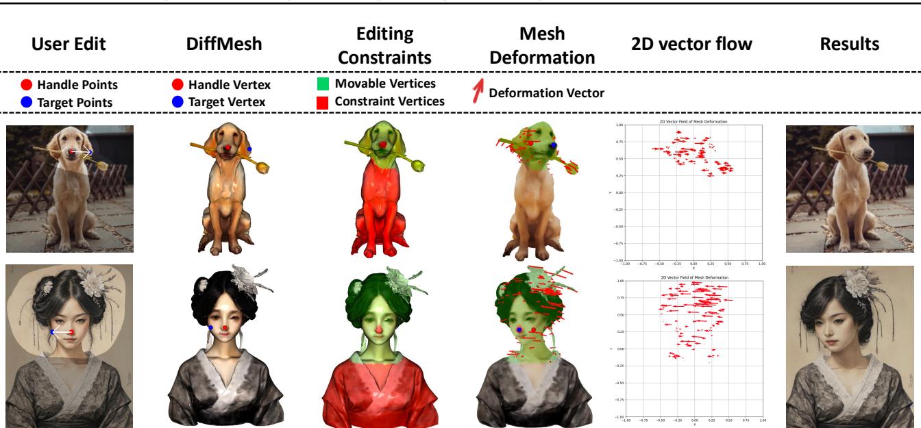 Visualization of the mesh deformation constraints and resulting vector flow.