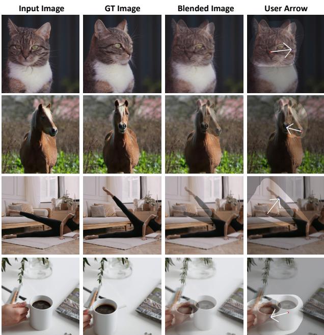 Visualization of the labeling procedure for VFD-Bench.