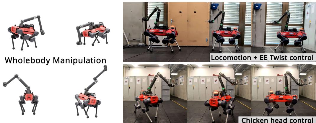执行全身操作、移动中的末端执行器控制以及“鸡头”稳定控制的四足机器人。