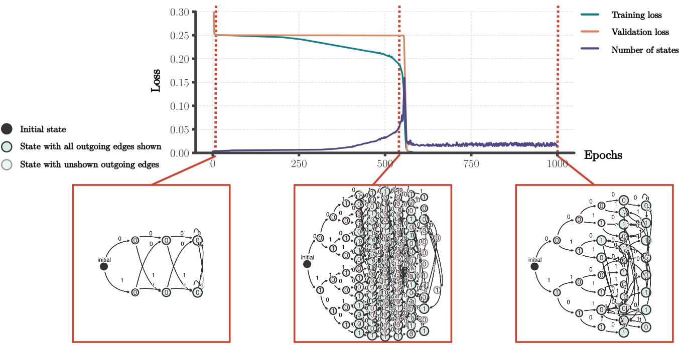 Automata extracted from the hidden layer of an RNN during training. Phase 1: Tree fitting. Phase 2: State merger leading to generalization.
