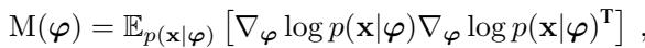 Equation 6: The Fisher Information Metric (FIM).