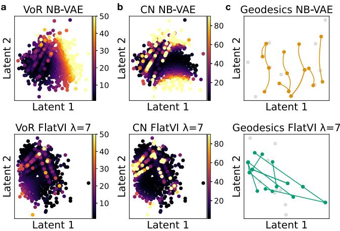 Figure 2: Latent geometry comparison. Top row: Standard NB-VAE. Bottom row: FlatVI. Notice how FlatVI reduces the Variance of Riemannian metric (VoR) and Condition Number (CN), creating a more uniform space. Panel (c) shows that geodesics (shortest paths) become straighter in FlatVI.