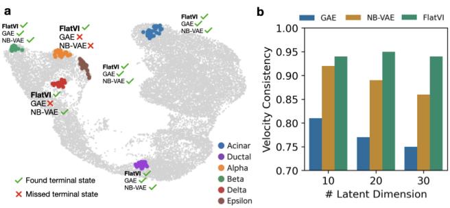 Figure 3: Terminal state identification. Panel (a) shows that FlatVI correctly identifies all 6 terminal states (checkmarks), whereas baselines miss several (crosses). Panel (b) shows higher velocity consistency for FlatVI.