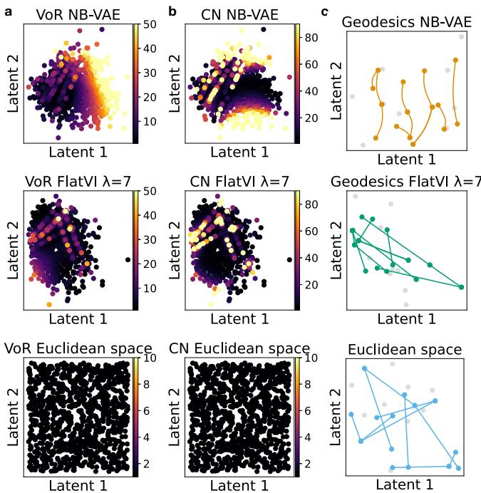 Figure 7: Comparison against a true Euclidean space. The bottom row shows the ideal scenario (perfectly flat). FlatVI (middle) approximates this structure far better than the unregularized model (top).