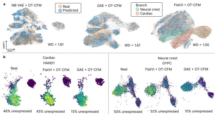Figure 12: Predicting scRNA-seq time points. Panel (a) shows the overlap between real cells (orange) and predicted cells (blue). FlatVI (right) has the best overlap (lowest Wasserstein Distance). Panel (b) shows the gene expression consistency.