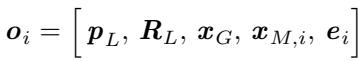 Equation 2: Local Observation definition