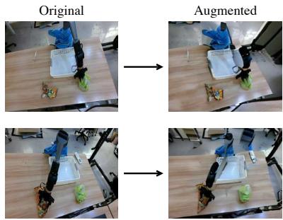 Example of Viewpoint Augmentation. Generating new views breaks the correlation between a specific camera angle and the task.