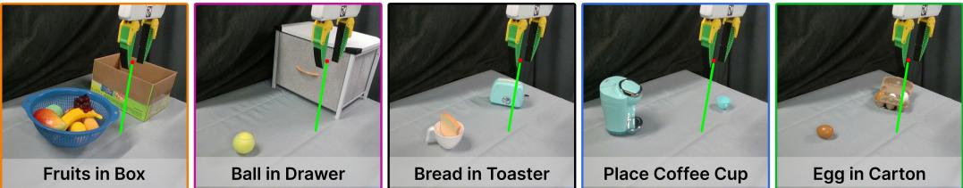 Visual examples of the five real-world tasks.