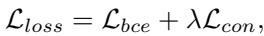 Equation for total loss