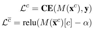 Loss functions for the rationalized input and the complement input.