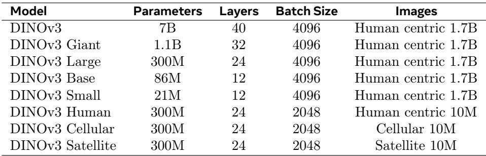 A table specifying the different DINOv3 model variants used in the study, detailing their parameters, layers, batch size, and training data.
