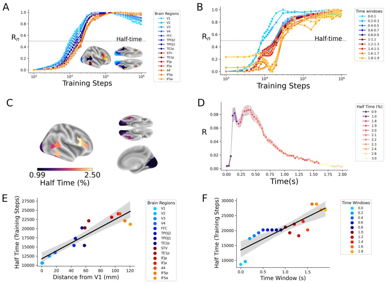Figure 5 maps half-times across brain regions and time windows, showing strong correlations: further from V1 or later in processing → longer learning time.
