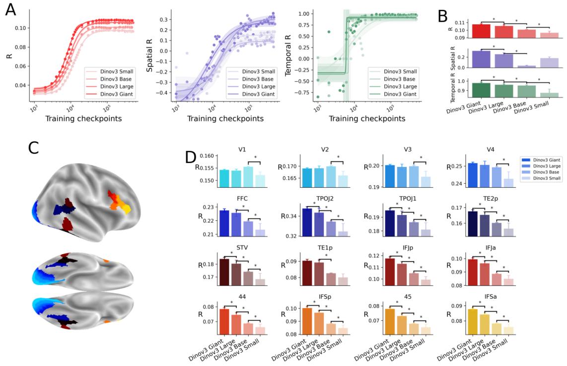 Figure 6 shows larger models achieving higher scores; biggest gap in higher-order areas like IFSp and IFSa.
