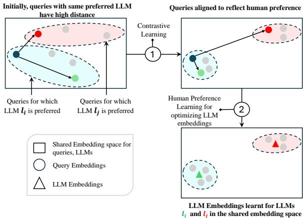 The two-phase pretraining process. First, query embeddings are clustered based on which LLM is preferred. Second, LLM embeddings are learned and placed within this shared space to align with the queries that favor them.