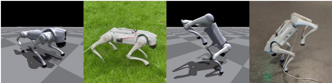 Figure 1: Go2 Walking on four and two legs using policies optimized with DMO.