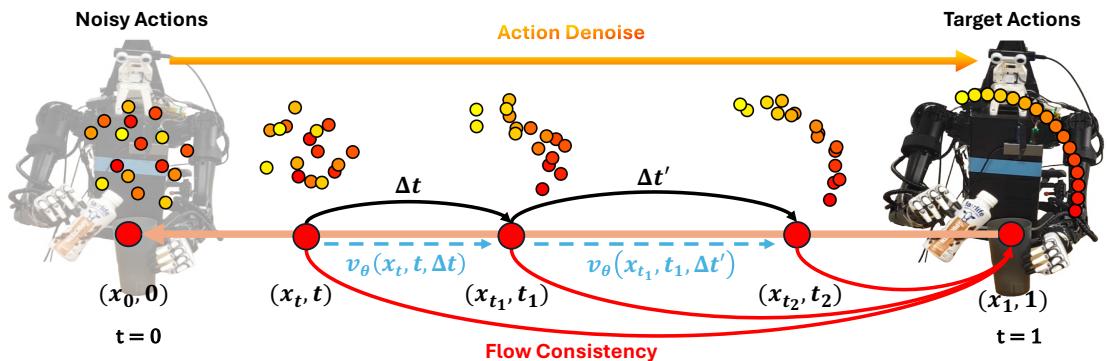 Figure 3: ManiFlow Consistency Training. Given a flow path that smoothly transforms action to noise, we sample multiple intermediate points via linear interpolation.