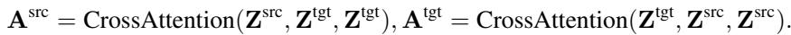 Cross Attention Equation