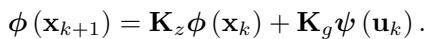 Koopman dynamics equation
