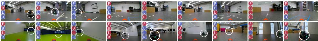 Figure 5: Random training samples from the datasets.