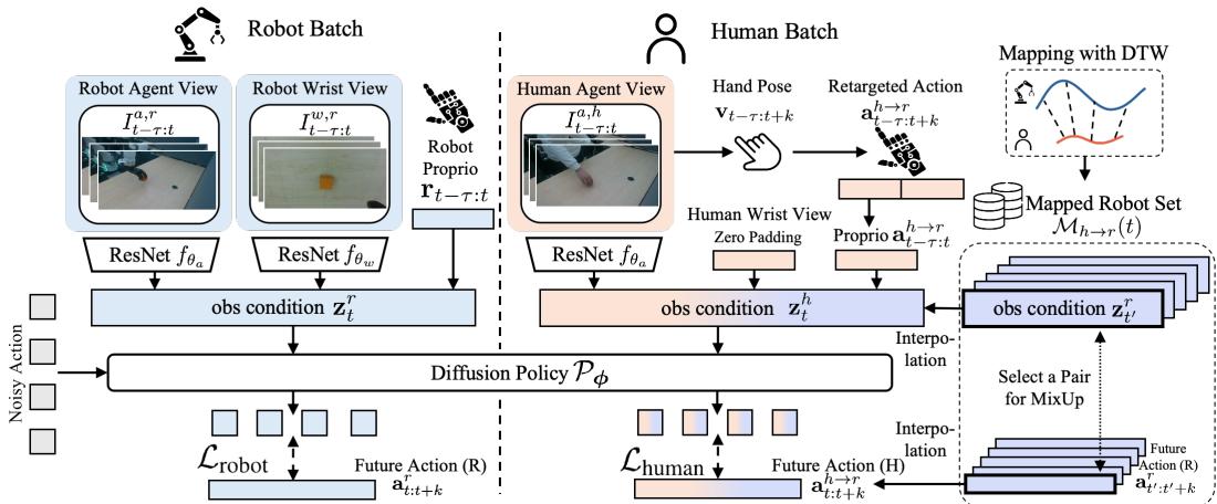 Architecture diagram showing the Diffusion Policy inputs for human and robot branches.