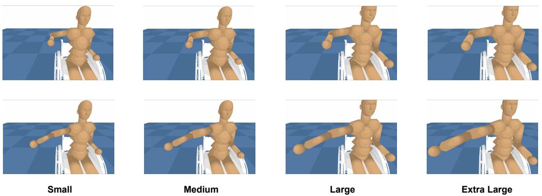 Figure 17: Body sizes in simulation.