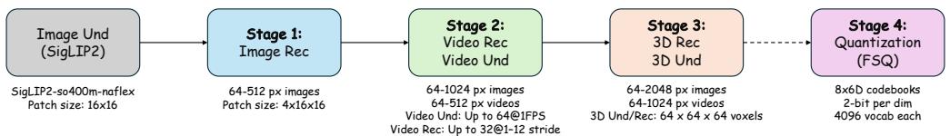 ATOKEN’s four-stage progressive training curriculum, starting with images and gradually adding video, 3D, and optional quantization.