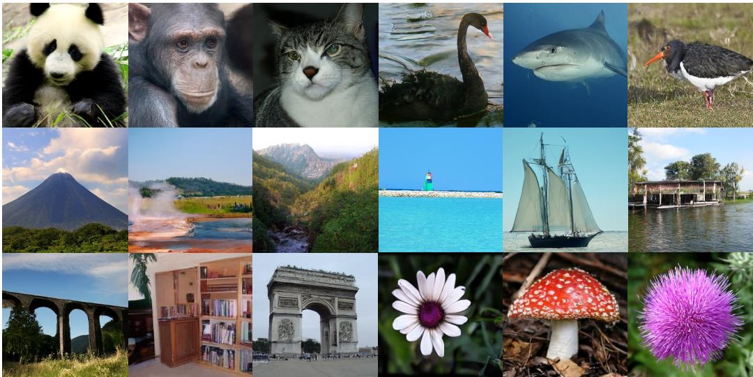 Sample discrete-token images from TokenBridge + ATOKEN.
