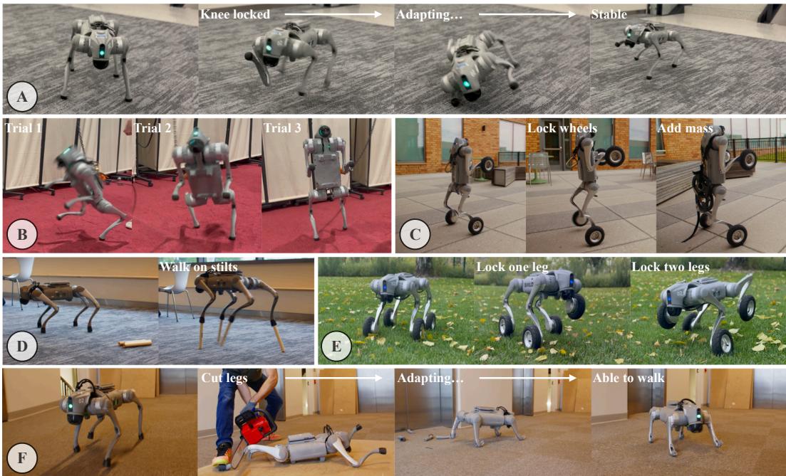 Real-world adaptation experiments: locked limbs, added mass, stilts, and damage recovery.