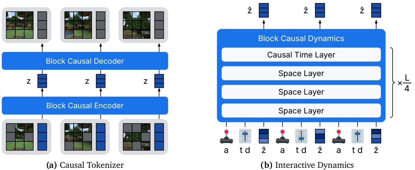 Dreamer 4 世界模型的总体设计,展示因果分词器与交互式动态模型。