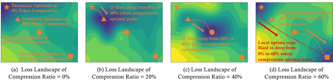 Loss landscapes at different token compression levels: 0%, 20%, 40%, 60%. Direct jumps to high compression are difficult, while progressive steps ease adaptation.