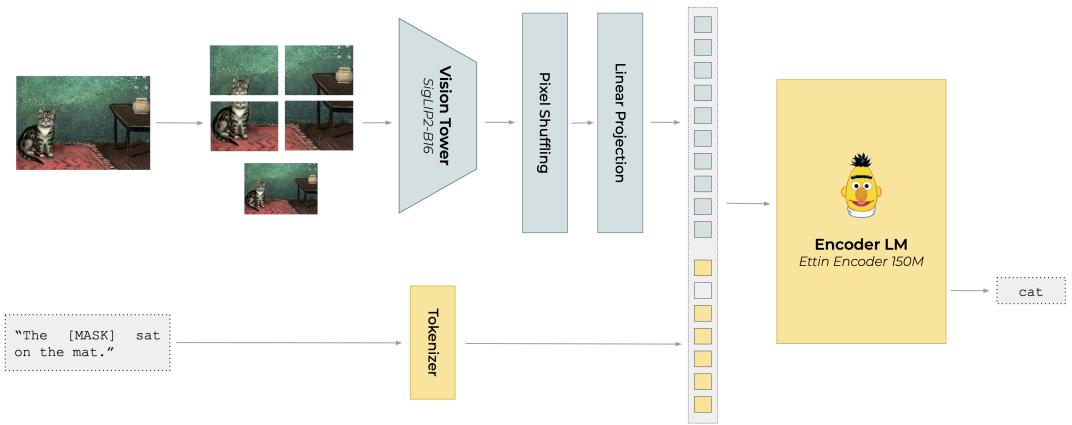 The early fusion architecture of ModernVBERT. A vision encoder processes image patches, which are then fed into a language model alongside text tokens. The model is trained with a Masked Language Modeling (MLM) objective, making it ideal for creating rich, bidirectional representations.