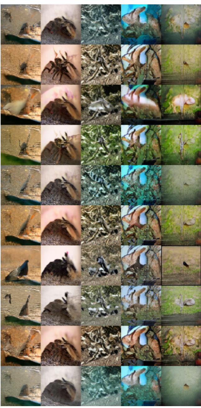 ImageNet100 样本: FunLoRA (左) vs. 多任务训练 (右) 。