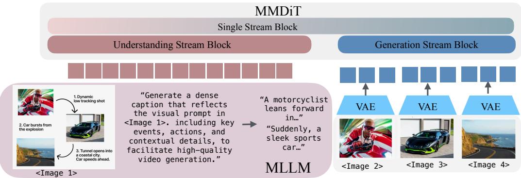 A diagram showing how the MLLM interprets a visual storyboard and generates a dense caption to guide the MMDiT in video synthesis.