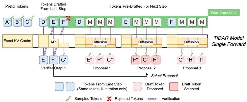 图示展示了 TiDAR 如何在单次前向传播中处理前缀 token、已起草的 token 和预起草的 token,以产生已验证的输出和新的提议。