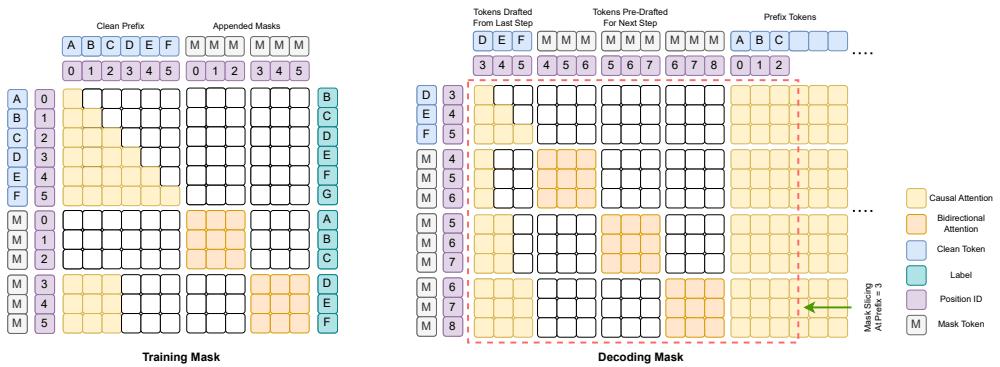 TiDAR 训练掩码与解码掩码的视觉对比,展示了模型如何同时学习因果和双向注意力模式。
