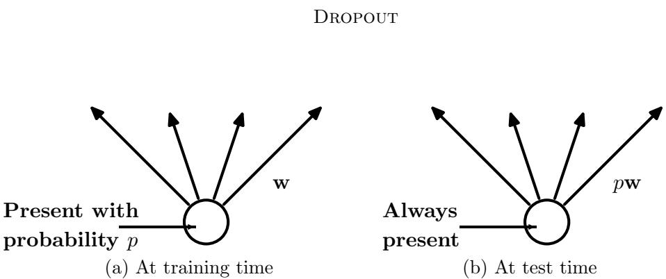 A neuron at training time (left) is present with probability \\(p\\); at test time (right) it is always present, but its outgoing weights are scaled by \\(p\\).