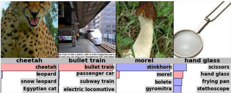 Example ImageNet predictions; top guesses are correct or reasonable.