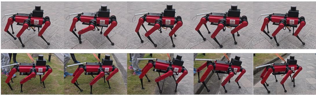 Figure 5: Snapshots of real hexapod robot experiments on flat and grass terrain.
