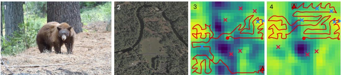 Visual search for bears by a simulated UAV over Yosemite Valley. Panel 3 shows a poor probability map leading to suboptimal search, while Panel 4 shows Search-TTA refining the map during flight to guide the UAV toward better targets.
