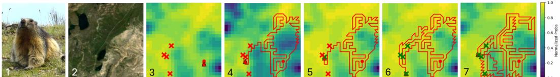 Visualizing the Search-TTA process for a Marmot. (3) Initial probability is broad. (4) TTA decreases probability in empty regions. (5) Probability spikes where the first Marmot is found. (7) Comparison with a static search which fails.