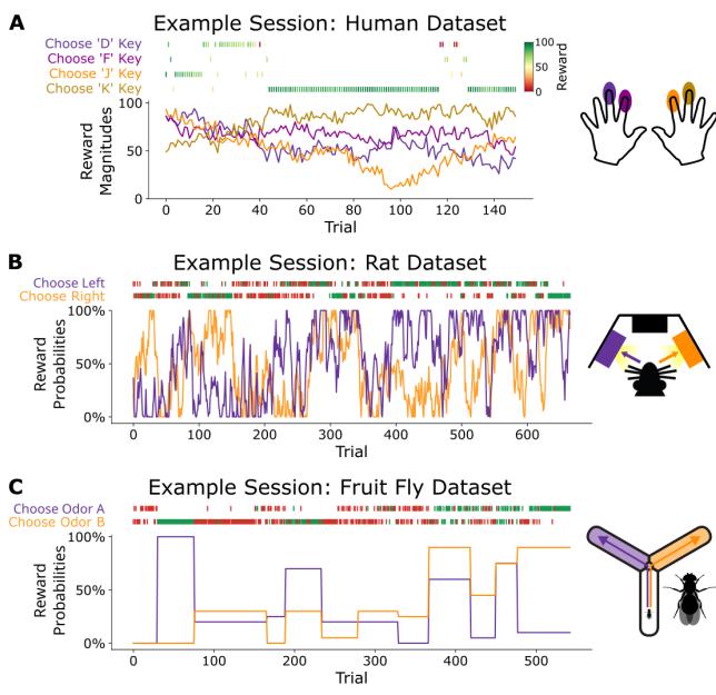 Illustration of datasets. Panel A shows Human keyboard choices. Panel B shows Rat nose-poke choices. Panel C shows Fruit Fly Y-maze choices.