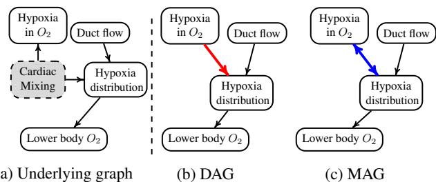Figure 1. (a) The underlying graph where Cardiac Mixing is a latent variable. (b) A DAG over observed variables. (c) A MAG characterizing the causal relations.