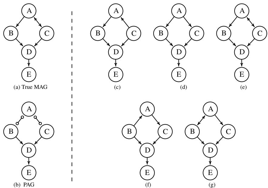 Figure 6. Overview of Causal Relations in the Markov equivalence class (MEC) of a true MAG.