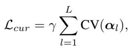 Equation for curriculum loss based on coefficient of variation.