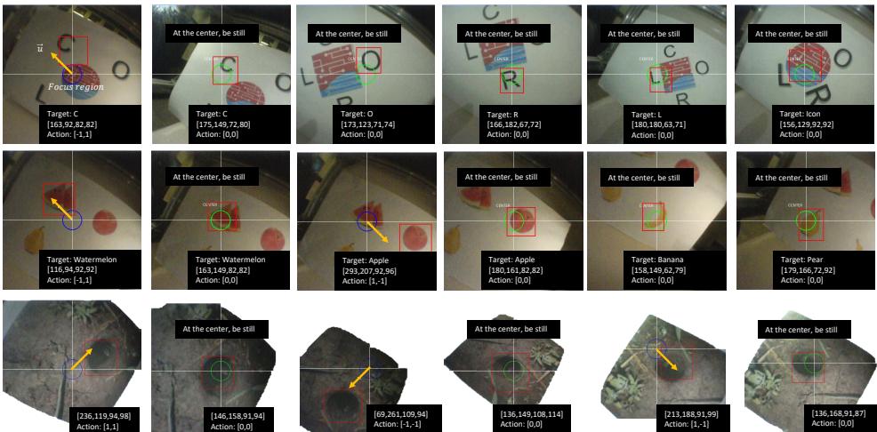 Figure 4: Generalization examples: CORL characters, fruit, and outdoor holes.