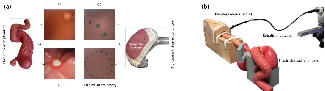 Figure 5: (a) The data is collected by two phantoms. (b) Robotic setup.